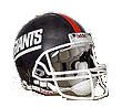newyorkg_helmet.gif - 5523 Bytes